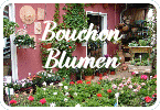 Bouchon-Blumen